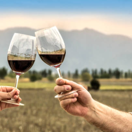 wine-trip02